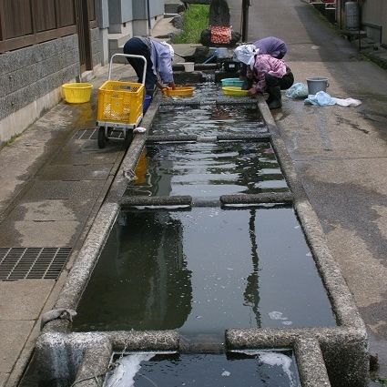 神泉の水