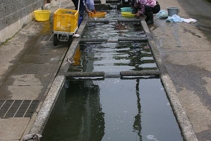 神泉の水