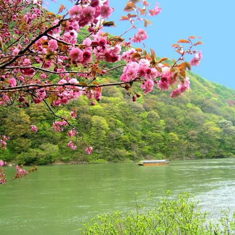 最上川舟下り　（最上峡芭蕉ライン観光）