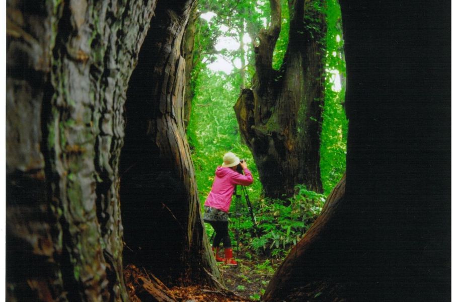 幻想の森 観光スポット やまがた庄内観光サイト 山形県庄内エリアの観光 旅行情報