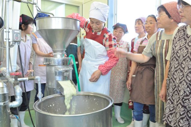 豆腐作り体験