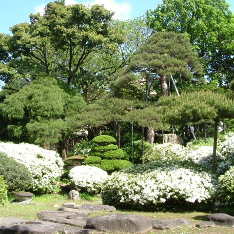 風間家旧別邸　「無量光苑 釈迦堂」