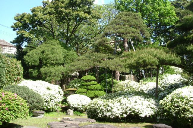 風間家旧別邸　「無量光苑 釈迦堂」
