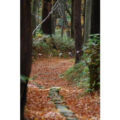 奥の細道古道