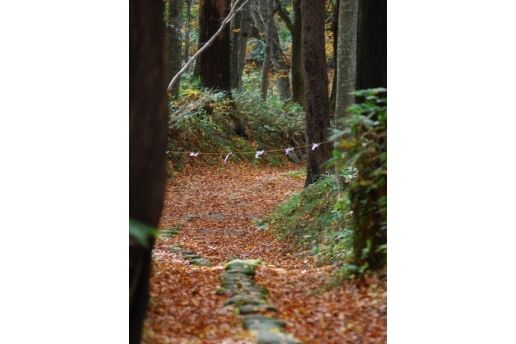 奥の細道古道