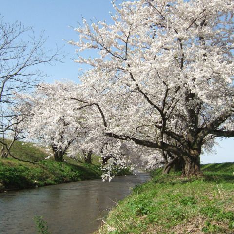 やすらぎ公園