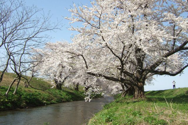 やすらぎ公園