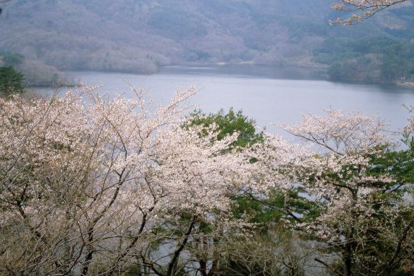 大山公園 観光スポット やまがた庄内観光サイト 山形県庄内エリアの観光 旅行情報