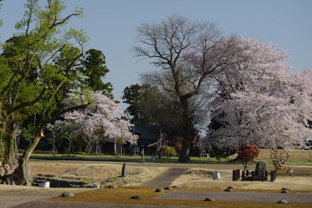 大山公園 観光スポット やまがた庄内観光サイト 山形県庄内エリアの観光 旅行情報