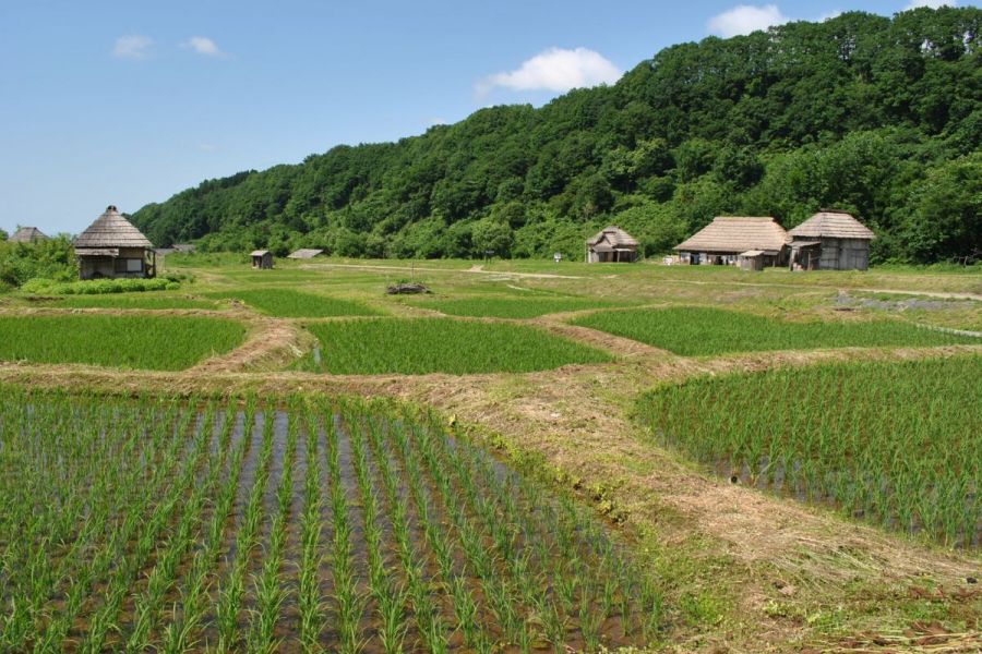 農村エリア