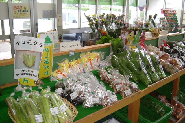 長沼温泉 ぽっぽの湯 観光スポット やまがた庄内観光サイト 山形県庄内エリアの観光 旅行情報