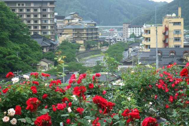 あつみ温泉ばら園から温泉街を望む