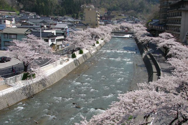 温泉内を流れる　清流「温海川」