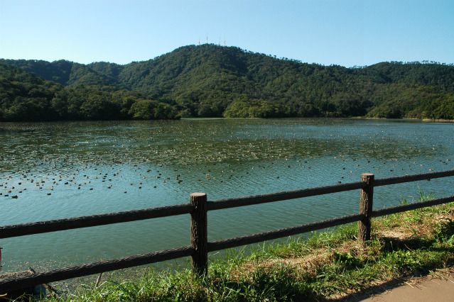 高館山