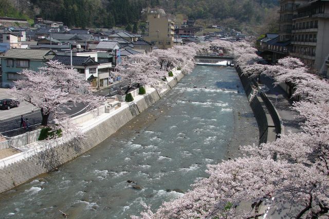 あつみ温泉　温海川河畔