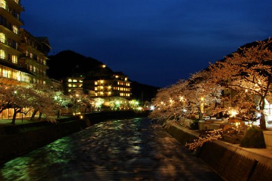 夜桜ライトアップ