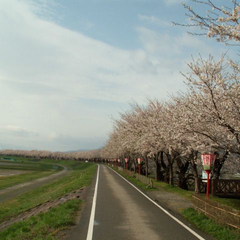 赤川土手