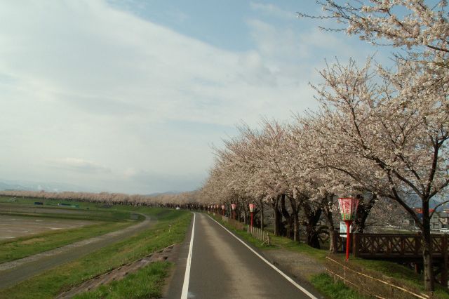 赤川土手