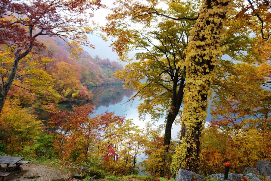 紅葉の大鳥池