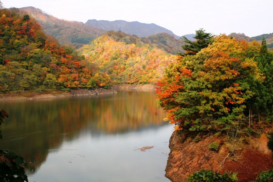 紅葉の荒沢ダム