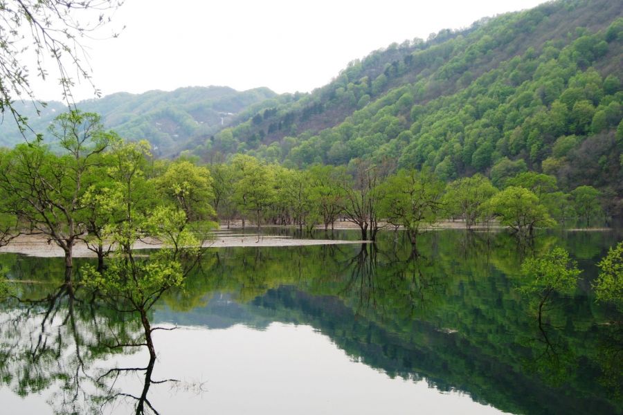 新緑の荒沢ダム