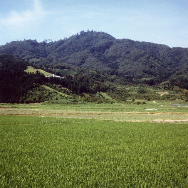 金峯山