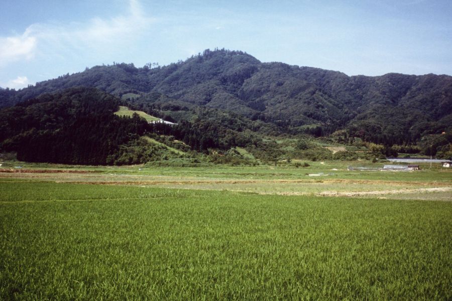 金峯山