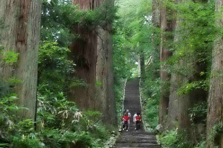 出羽三山神社 観光スポット やまがた庄内観光サイト 山形県庄内エリアの観光 旅行情報