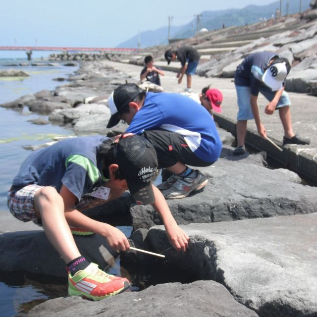 由良海岸で磯ガニ釣り体験