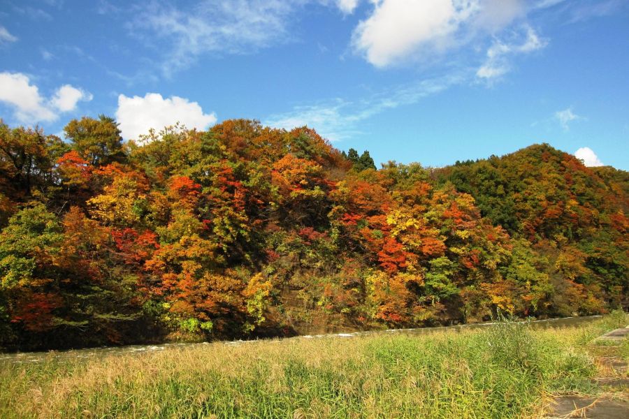 紅葉その１
