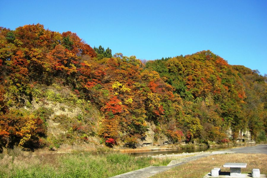 紅葉その２
