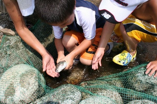 魚のつかみどり