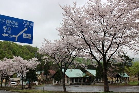 タキタロウ館