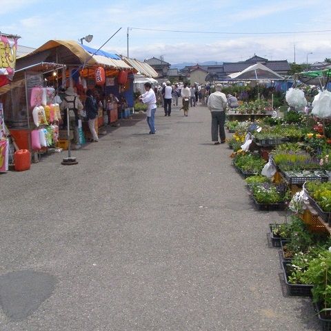 しょうない金魚まつり