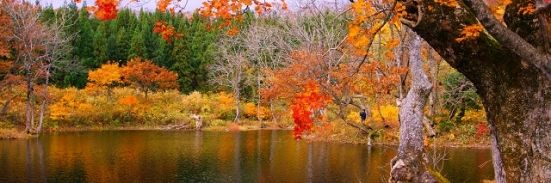 紅葉の鶴巻池（庄内町）