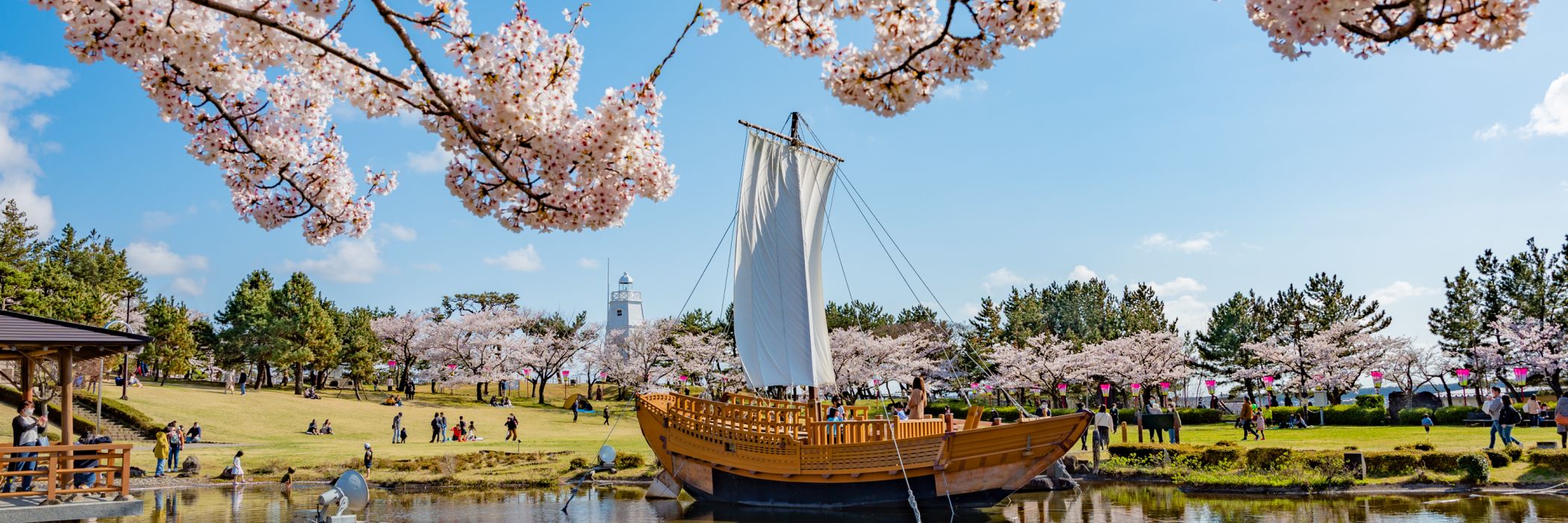 酒田市 日和山公園 桜まつり 2026.4.10～