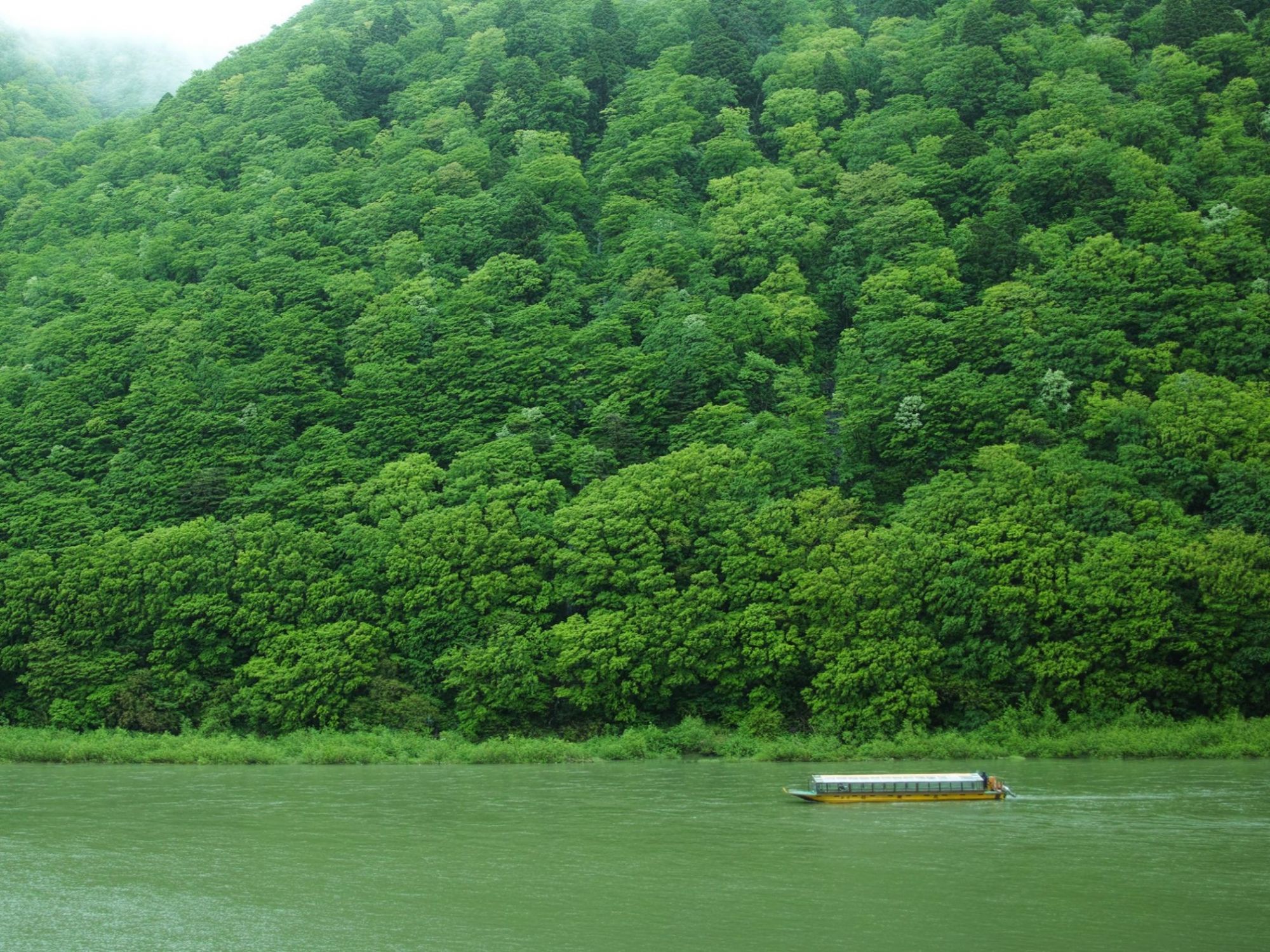 夏の最上川舟下り