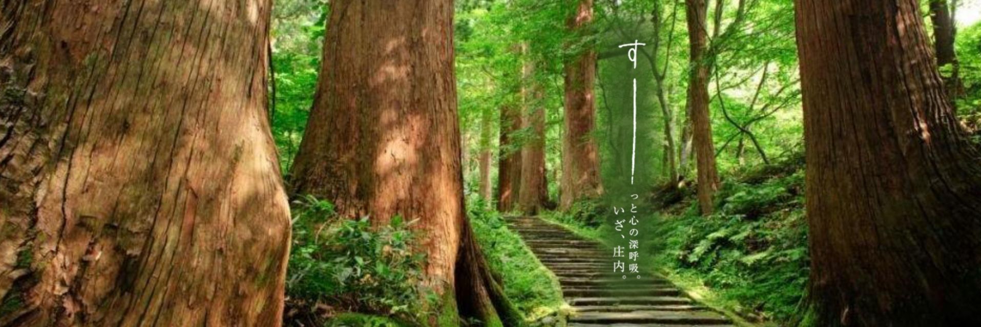 山形庄内 夏の観光キャンペーン 2026.7.1-9-30