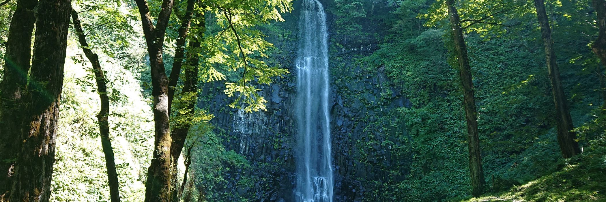 涼を求めて 玉簾の滝