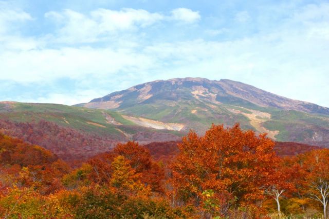 紅葉の名所 鳥海ブルーラインドライブ モデルコース やまがた庄内観光サイト 山形県庄内エリアの観光 旅行情報