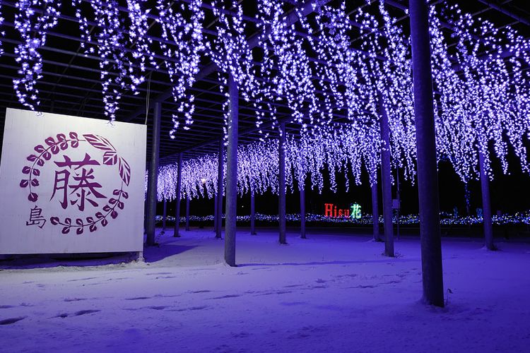 藤島歴史公園「Hisu花」ワークショップ　リーダー　井上夏