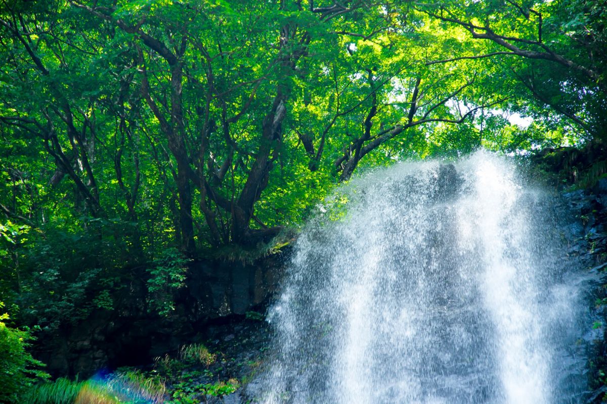 巡りめぐる湧水・名水の数々