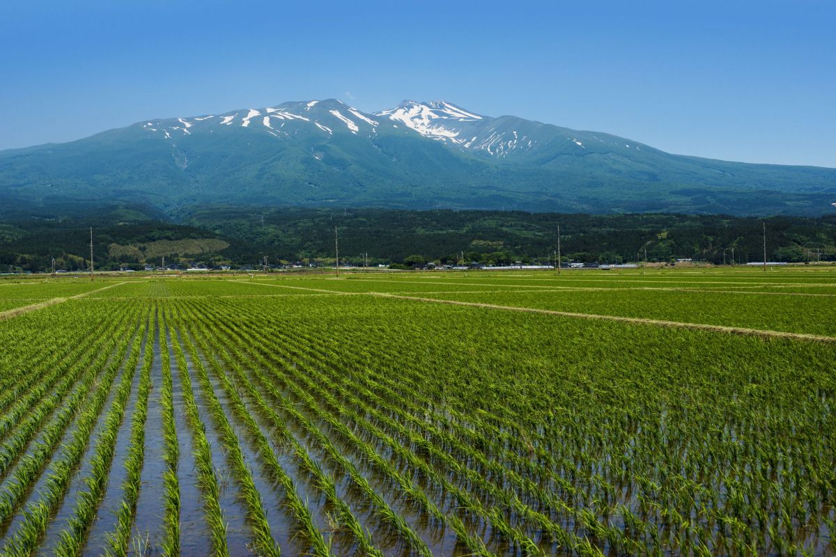 コンベンション開催支援について