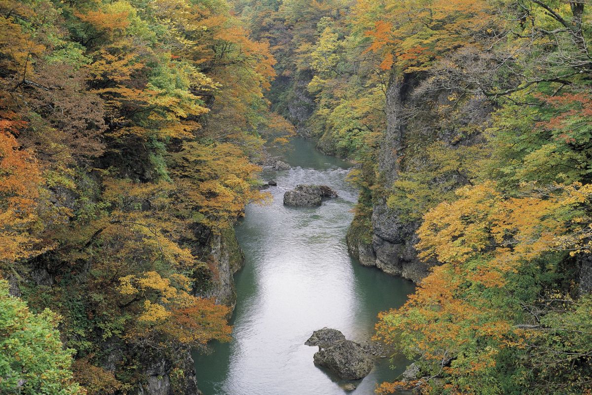 山を彩る紅葉スポット