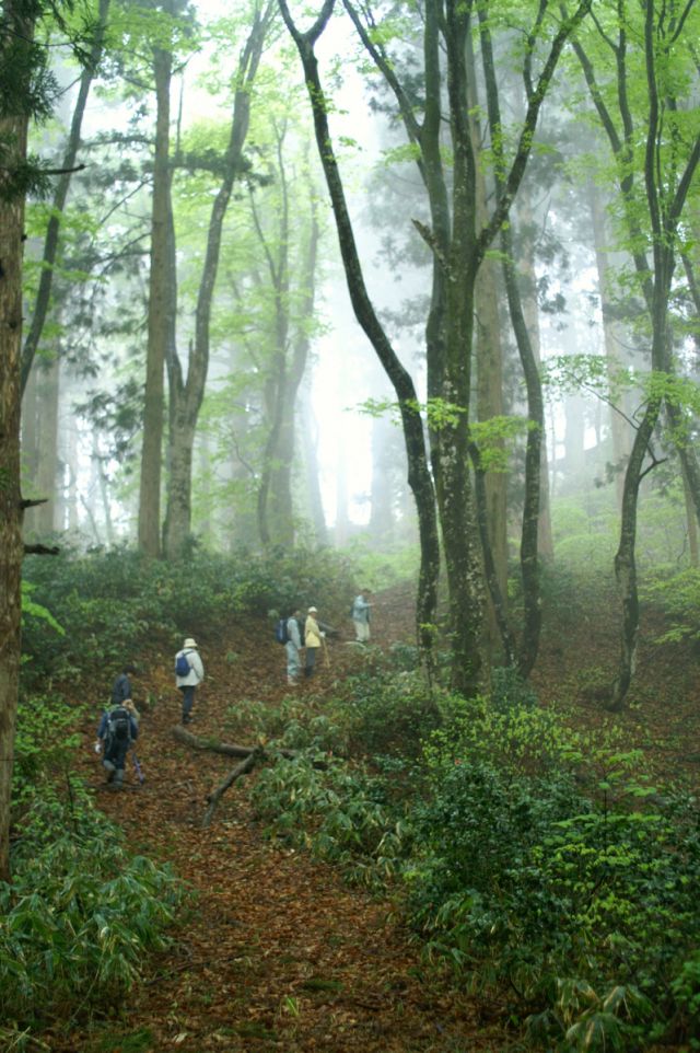 熊野古道ならぬ“羽黒古道”で古の参詣道を追体験
