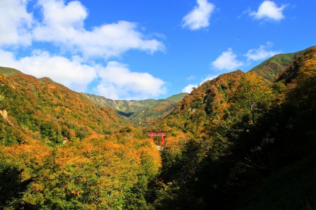 秋は徒歩で・・・紅葉散策もおすすめ