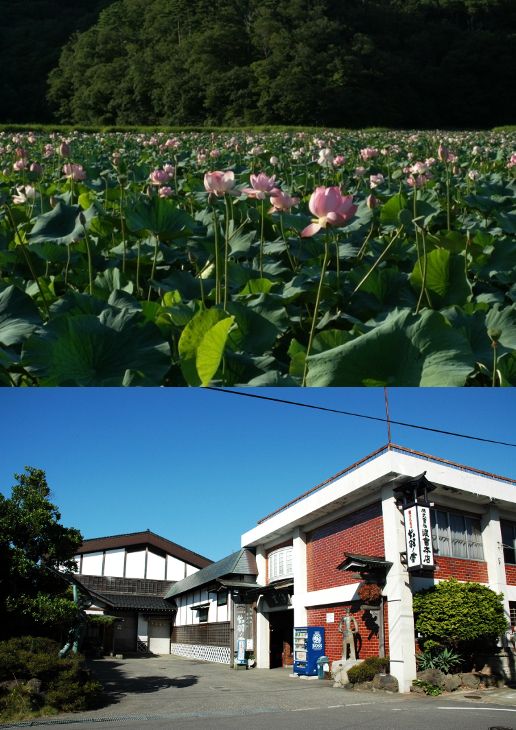 大山公園の周辺スポット