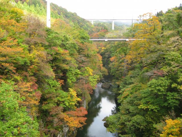 ハート形の岩に乗ったら願いが叶う？！“フキまじない”