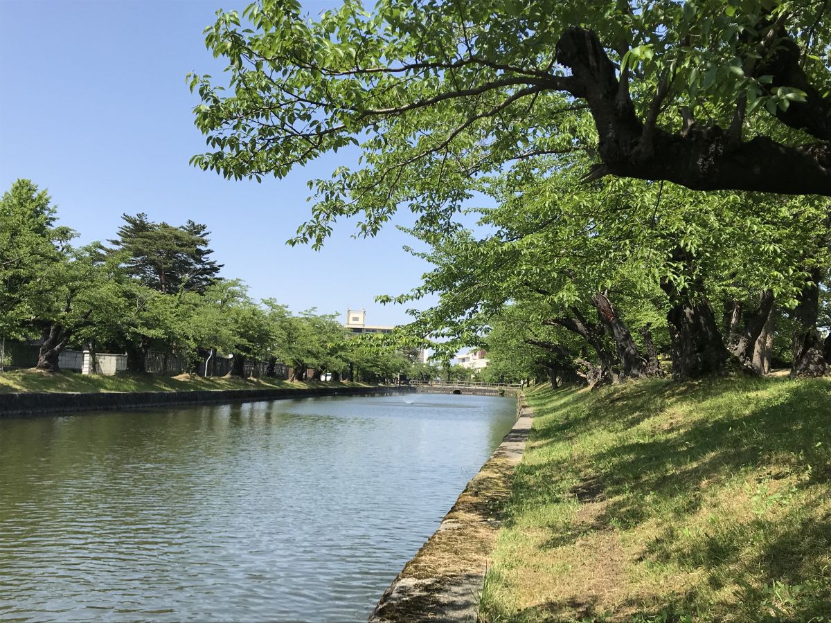 遊びに 散歩に 庄内 戸沢エリアの公園14選 旅の特集 やまがた庄内観光サイト 山形県庄内エリアの観光 旅行情報