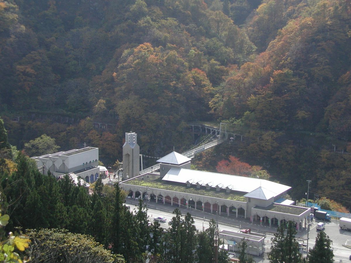 月山ワイン山ぶどう研究所 提供